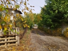 thumb_3730_1.jpg 