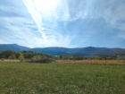 thumb_3730_6.jpg 